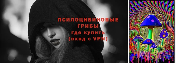 a pvp Алексин